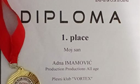 Slika